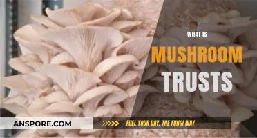 Mushroom Trusts: Unlocking Nature's Capital