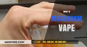 Unlocking the Mystery of Mushroom Vapes