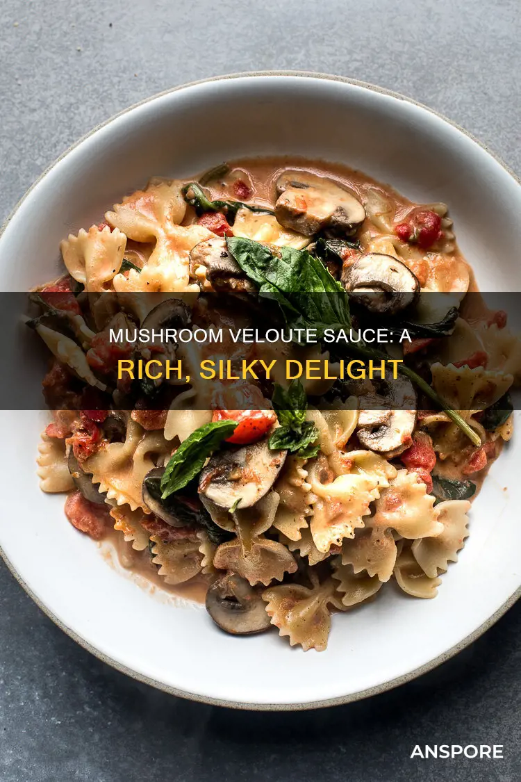 what is mushroom veloute sauce