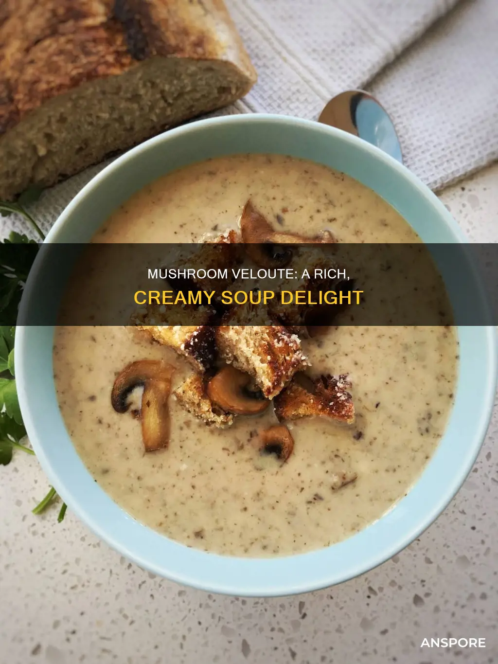 what is mushroom veloute