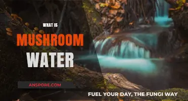 Mushroom Water: Nature's Magic Elixir