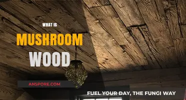 The Unique Charm of Mushroom Wood