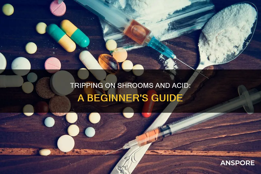 what is mushrooms and acid