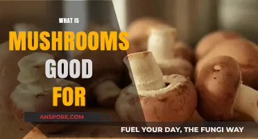 Mushrooms' Surprising Health Benefits: Nutrition, Immunity, and Wellness Explained
