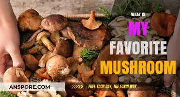 My Favorite Fungi: A Tasty Treat
