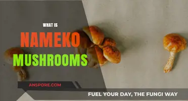 Nameko Mushrooms: A Tasty Japanese Treat