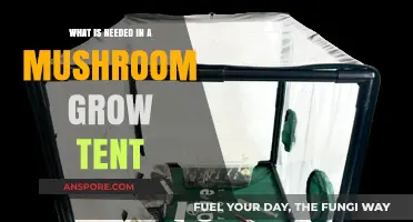 Essential Equipment for a Successful Mushroom Grow Tent Setup