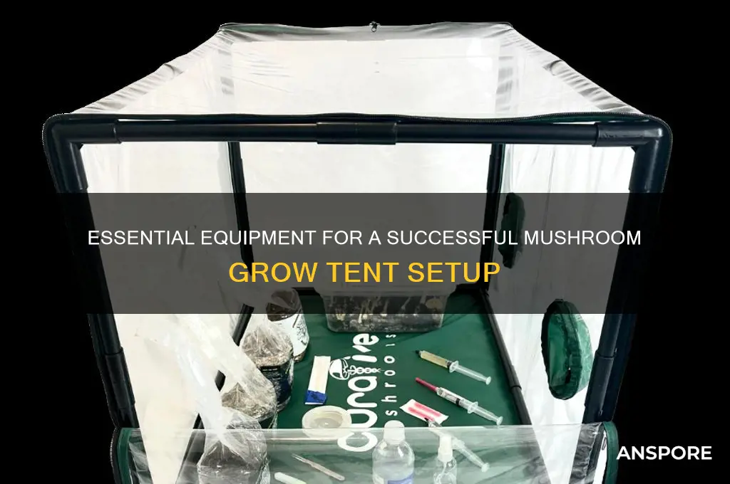 what is needed in a mushroom grow tent