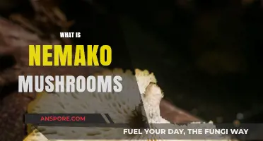 The Magic of Nemako Mushrooms