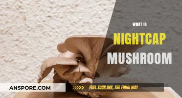 The Magic of Nightcap Mushrooms: A Natural Wonder