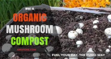Mushroom Compost: Organic Superfood for Your Garden
