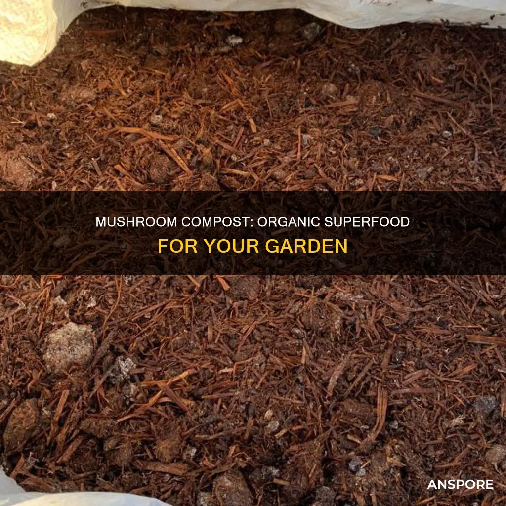what is organic mushroom compost