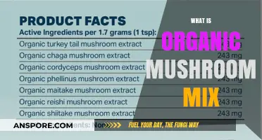 Mushroom Mix: Organic Superfood for Health