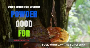 Organic Reishi Mushroom Powder Benefits: Health, Immunity, and Wellness Explained