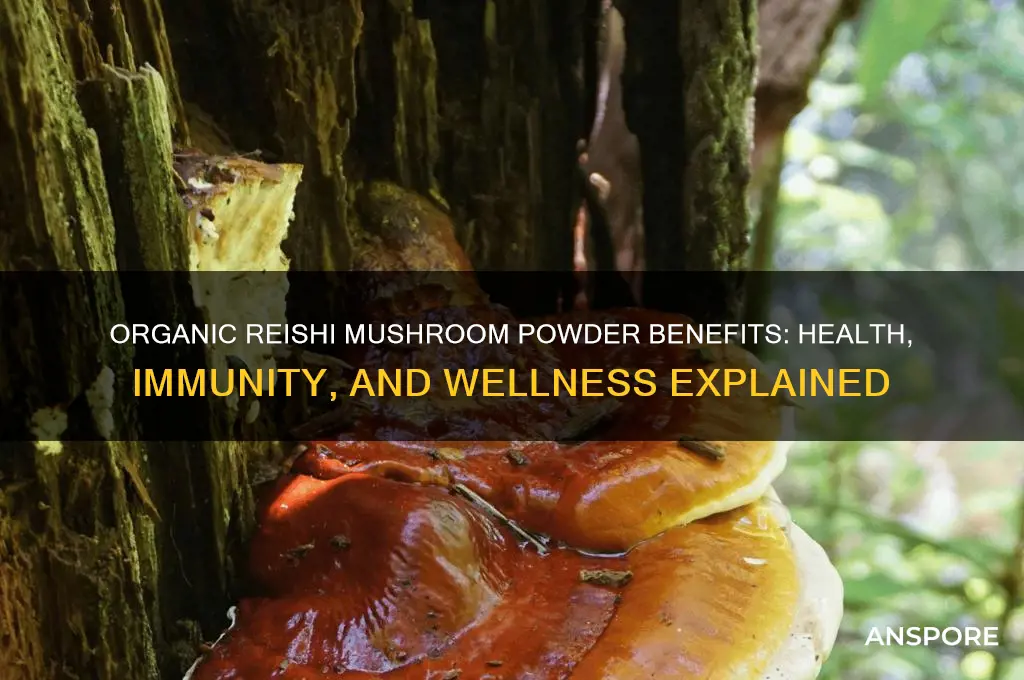 what is organic reishi mushroom powder good for