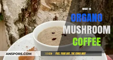 Mushroom Coffee: Organo's Healthy Blend