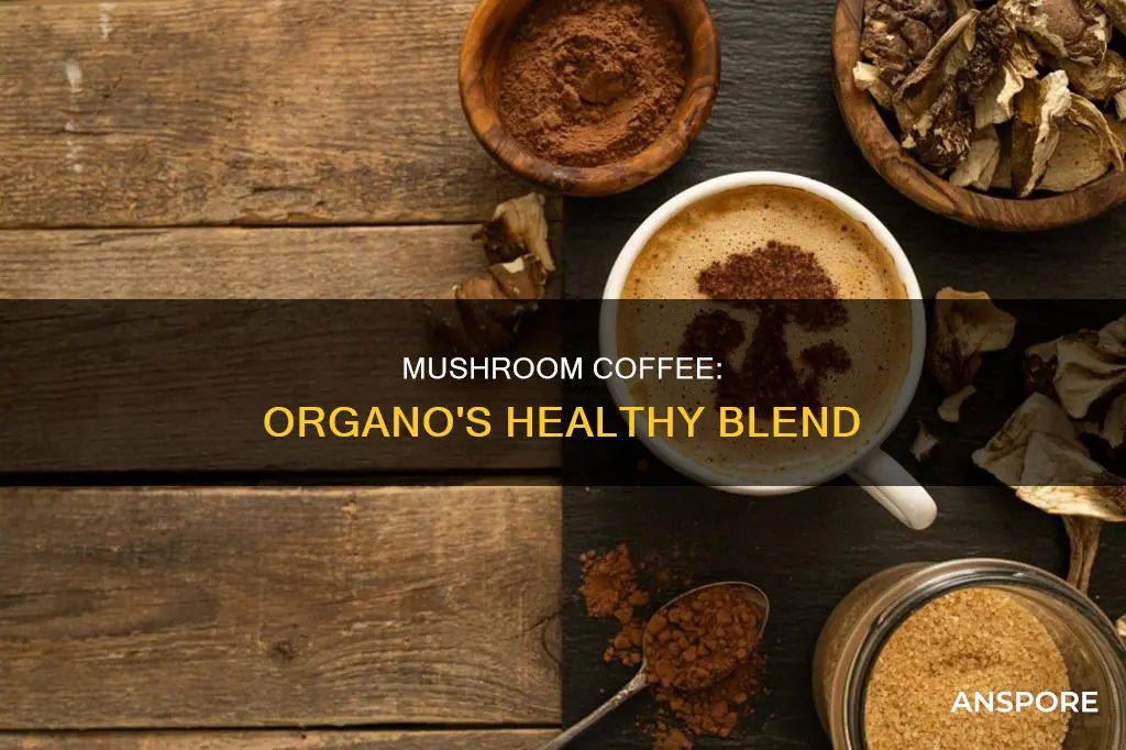 what is organo mushroom coffee