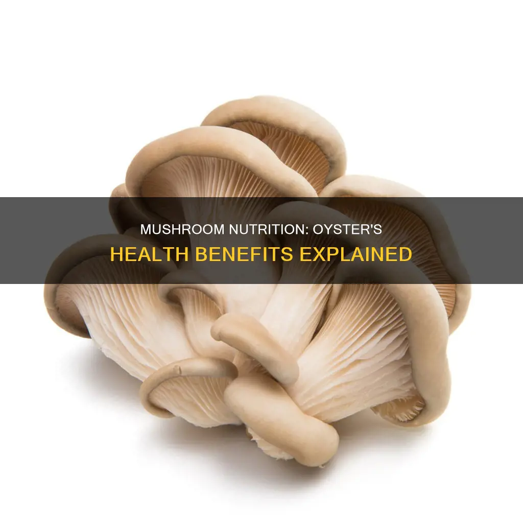 what is oyster mushroom nutrition