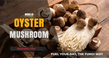 The Ultimate Oyster Mushroom Guide
