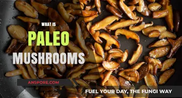 Mushroom Magic: Paleo Superfood