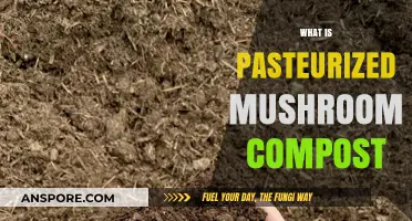 Mushroom Compost: Benefits of Pasteurization
