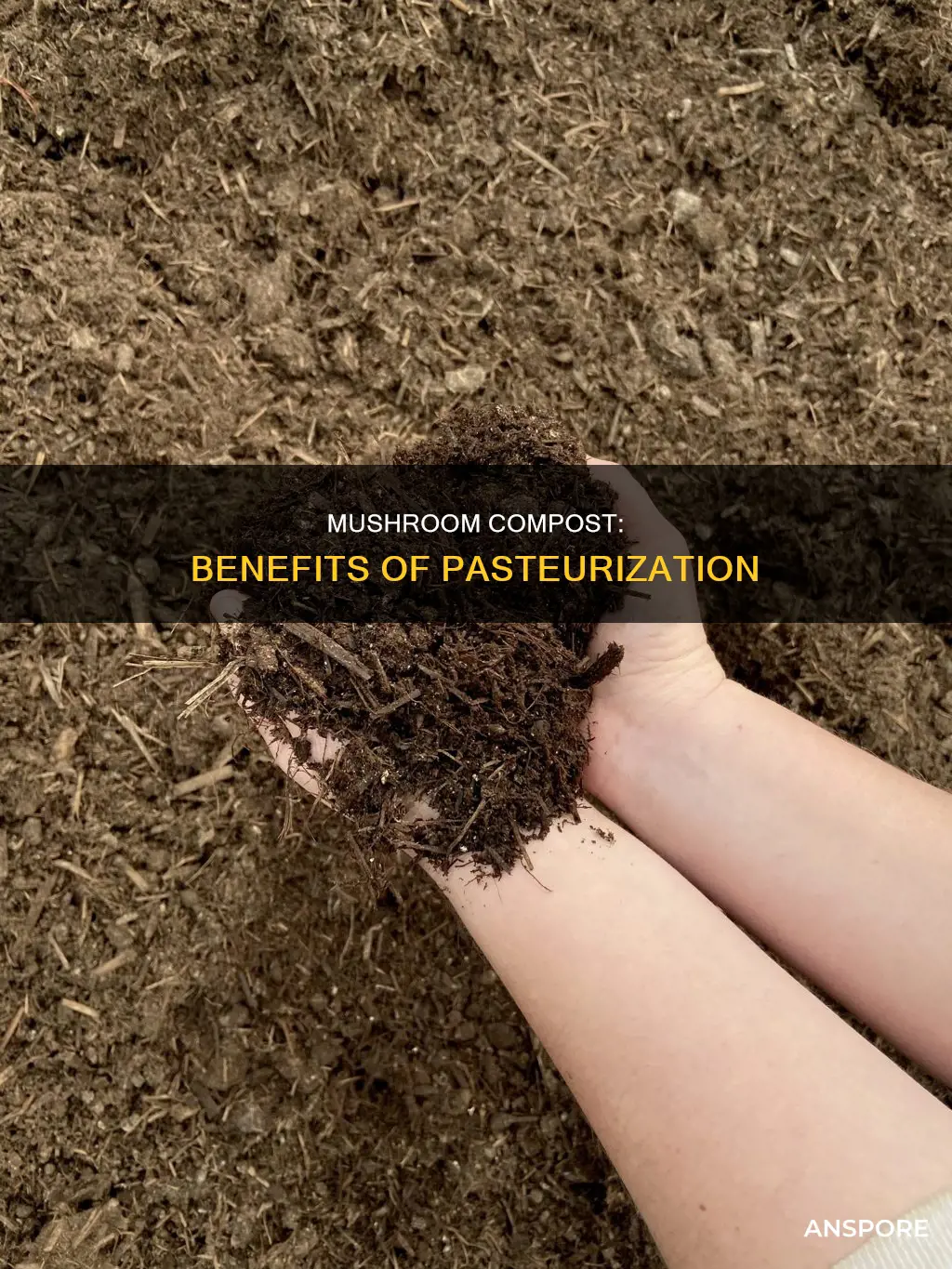 what is pasteurized mushroom compost