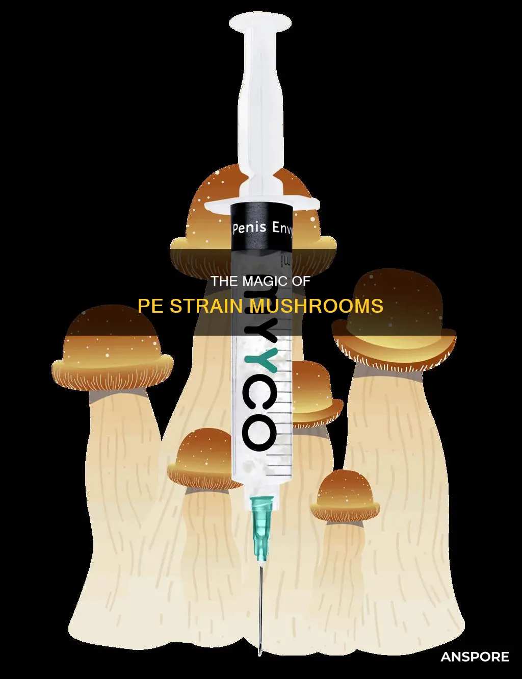 what is pe strain mushroom