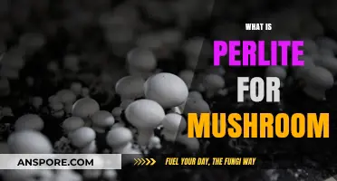 Perlite: Mushroom Growth Superpower Explained