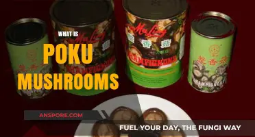 The Magic of Poku Mushrooms