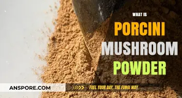 The Magic of Porcini Mushroom Powder