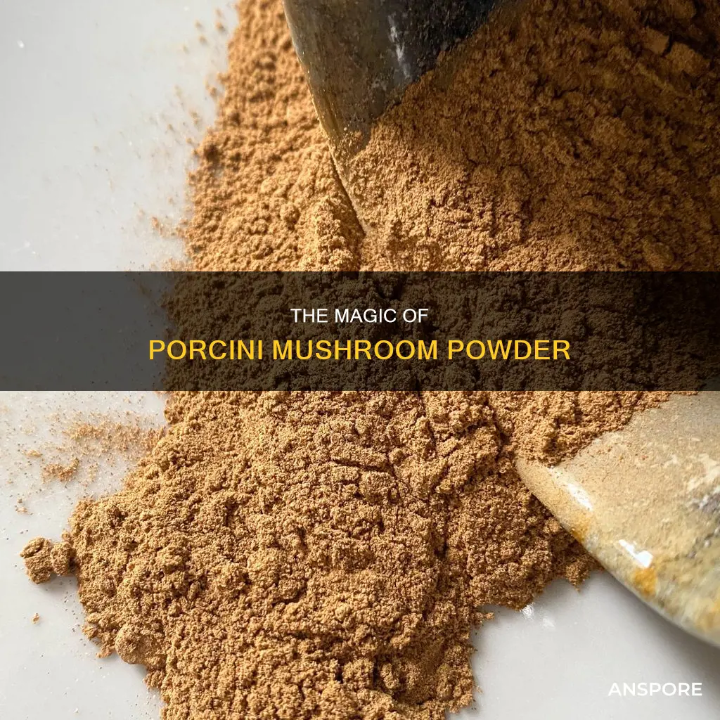 what is porcini mushroom powder
