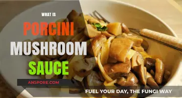 The Magic of Porcini Mushroom Sauce