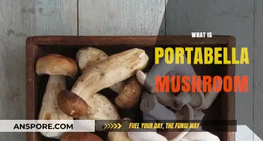 Portabella Mushrooms: What They Are and How to Use Them