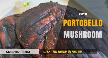 Discover the Delicious World of Portobello Mushrooms: A Complete Guide