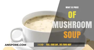 Discover the Average Cost of Creamy Mushroom Soup Today