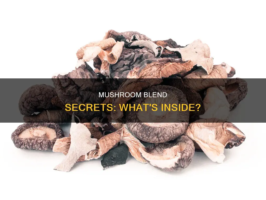 what is proprietary mushroom blend