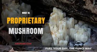 Mushroom Power: Unlocking Nature's Proprietary Secrets