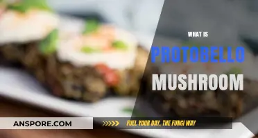 Explore Portobello Mushrooms: A Tasty, Healthy Treat