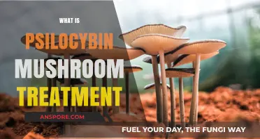 Psilocybin Mushroom Therapy: A Natural Treatment Option