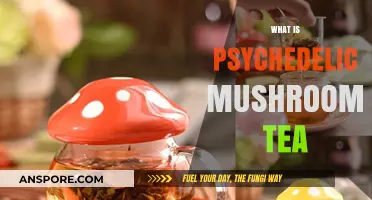 Magic Mushroom Tea: A Beginner's Guide to Psychedelics