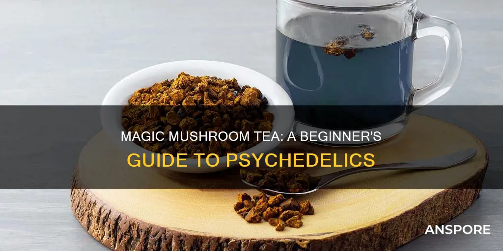 what is psychedelic mushrooms tea