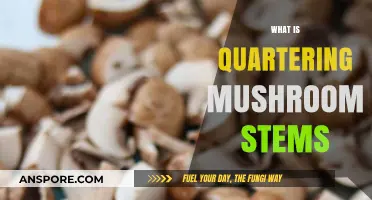 Quartering Mushroom Stems: An Effective Growing Technique