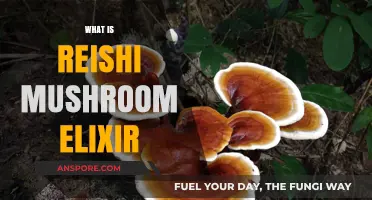 Reishi Mushroom Elixir: Ancient Superfood, Modern Health