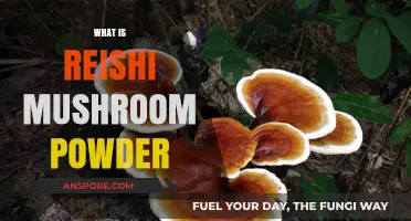 Reishi Mushroom Powder: Ancient Superfood, Modern Benefits
