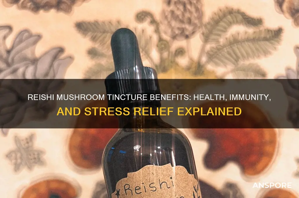 what is reishi mushroom tincture good for