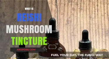 Reishi Mushroom Tincture: Ancient Healing in a Bottle