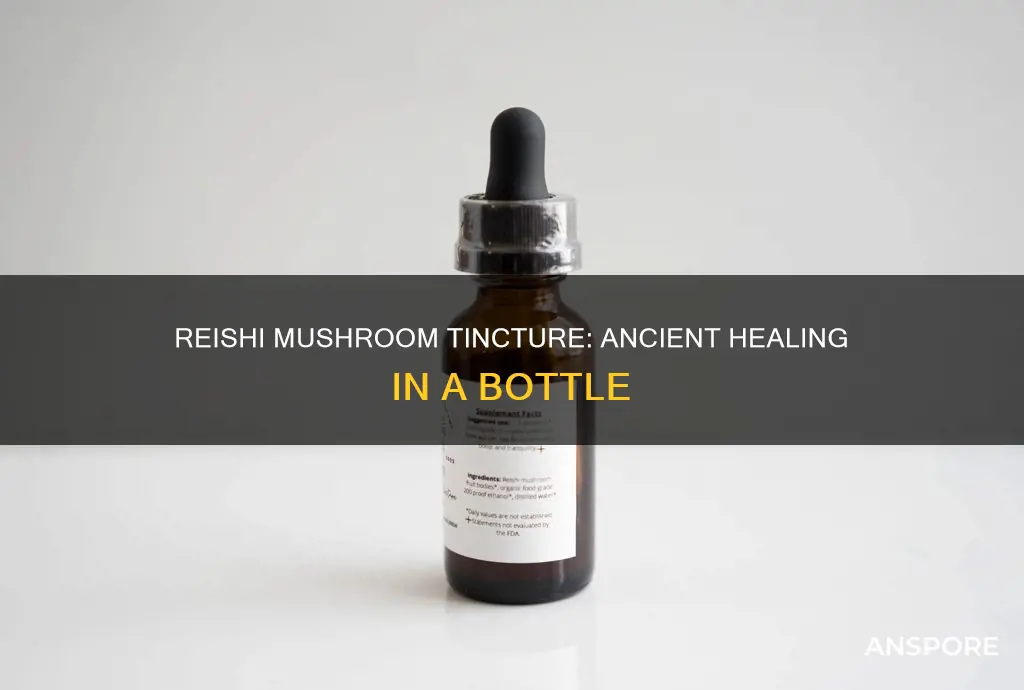 what is reishi mushroom tincture