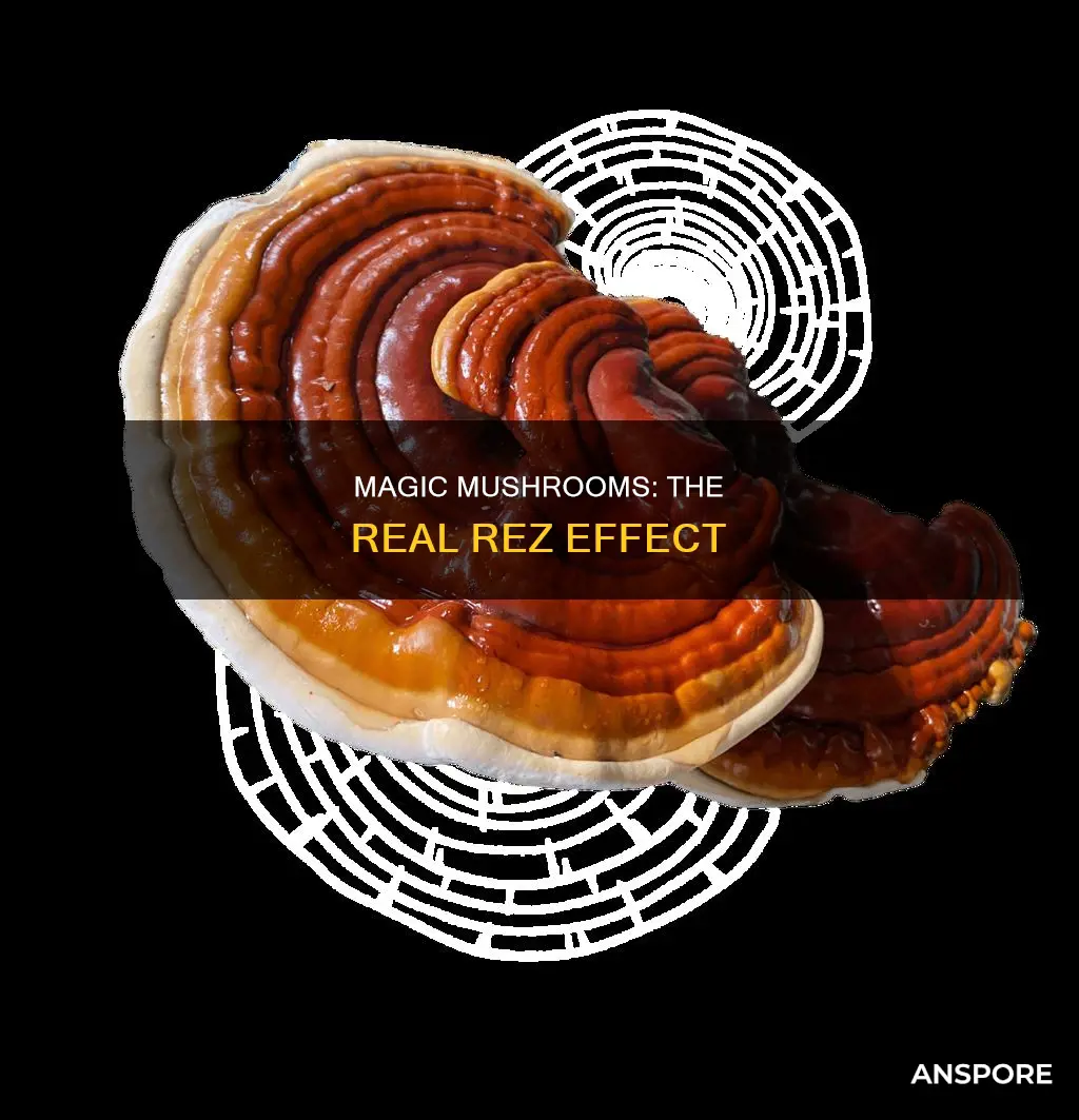 what is rez effect mushroom