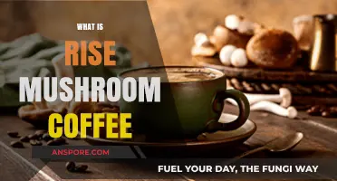 Mushroom Coffee: Rise and Shine