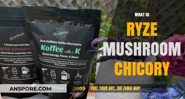 Unlocking Ryze: Mushroom Chicory Superpowers